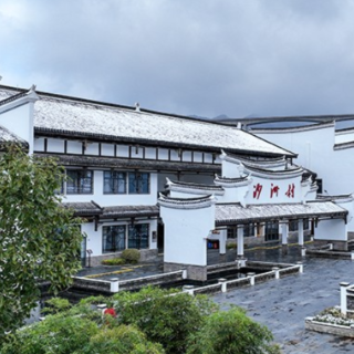 沙洲日记｜冰雪与“温暖” 迎接幸福花