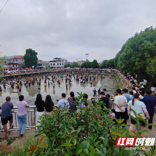 宜章县大元村：齐聚一“塘” “鱼”你狂欢庆中秋