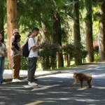 宜章莽山:“旅发效应”催热“生态游”