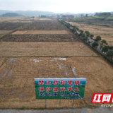 嘉禾县普满乡:秸秆治理出硬招 守护蓝天见实效