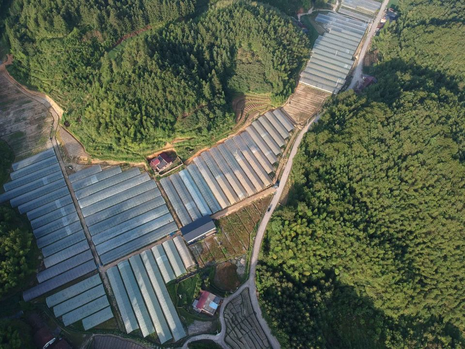 桂东县普乐镇:“红绿”融合绘就乡村振兴新图景