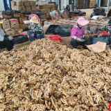 汝城小黄姜远销中东 湘南辣味香飘迪拜