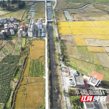 汝城县井坡镇:人大代表聚民意 铺就幸福乡村路