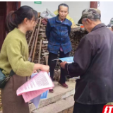 桂东县青山乡:“上门社保”暖民心 服务窗口“搬”进家