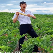 他把泥土味的吆喝播成了乡村振兴连续剧