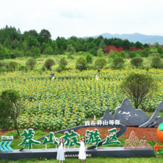 2025年郴州旅游发展大会 | 宜章县：葵花盛开迎旅发