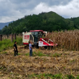 临武县：大力推广秸秆“变废为宝”