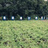 嘉禾县：富硒蔬菜直供大湾区 激活农业增收新引擎