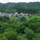 宜章县赤石乡：渔溪河畔 白鹭翩迁