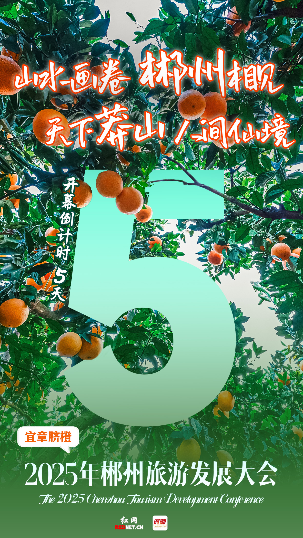 2025旅发大会倒计时5.jpg