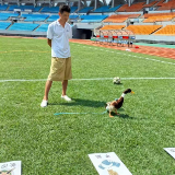 “吃货逻辑”!临武鸭“剧透”“湘超”揭幕战