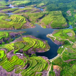 资兴市大王寨村："点石成金”老破旧村成全国乡村治理示范村