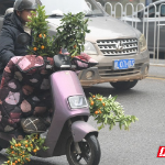 安仁县：“绿色年货”走俏