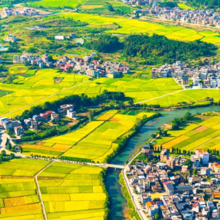 大历史观下乡村全面振兴三重逻辑的临武实践