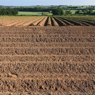 郴州市首宗“土地+矿产”自然资源资产组合供应项目成交