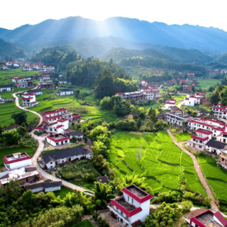 桂东县：壮实主心骨 汇聚满园春 引来金凤凰  