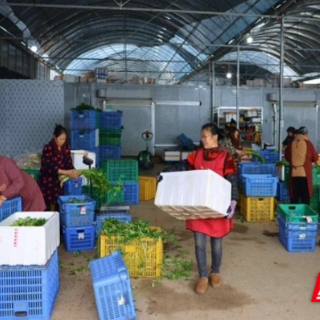 桂东县：强服务助复产 多点发力冲刺“开门红”