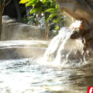 嘉禾县：新春“暖汤”引客来