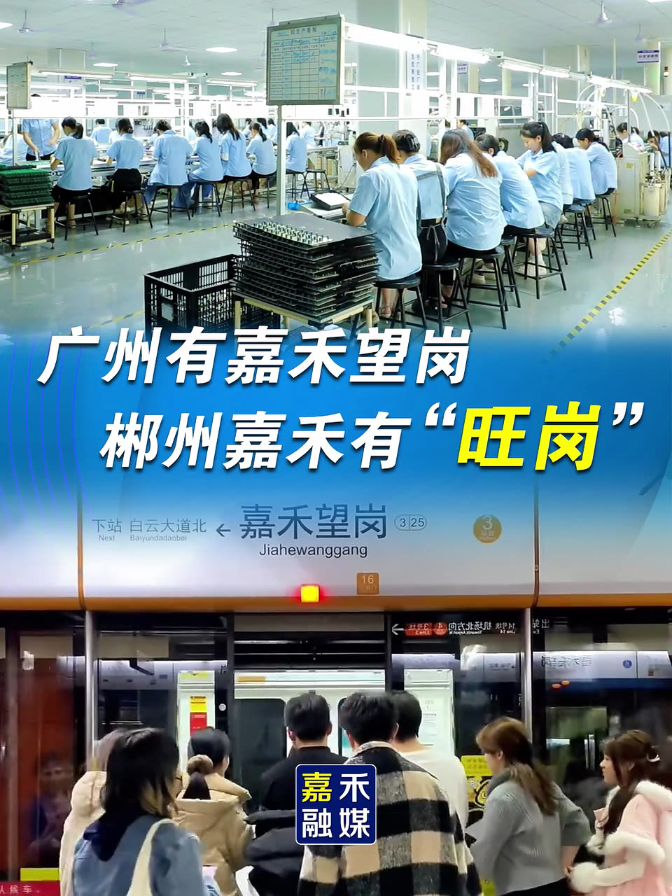 广州有嘉禾望岗 郴州有嘉禾“旺岗”