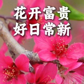 视频 | 你好宜章，祝你花开宝贵、好日常新