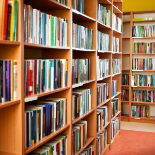 随笔 | 奔赴山海