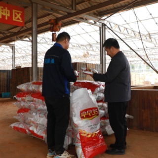 安仁县:人勤春早备耕忙 农技下沉保育秧