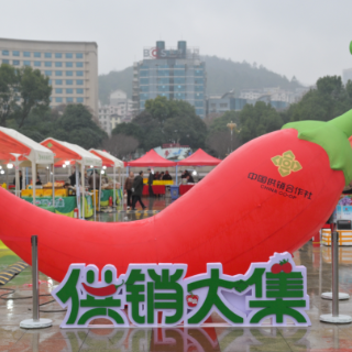 “郴品郴味·供销大集”春节专场7日启幕 6日布展试营业