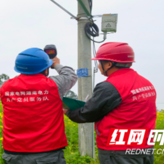 国网资兴市供电公司：电力护航蓼江油菜花节 点亮乡村振兴“金色引擎”