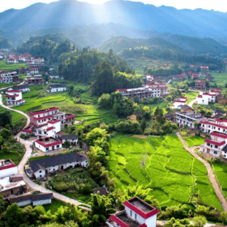 桂东县：监督护航暖田埂 精准发力助农耕