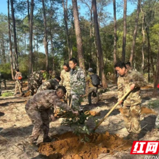 九龙江管理处（大坪林场）开展2026年义务植树活动