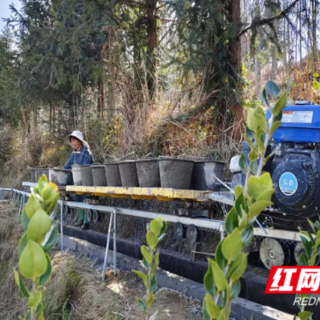 桂东县：高山“高铁”破难题 农田建设提质效