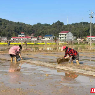 安仁县：党建引领“一盘棋” 打好春耕“第一仗”