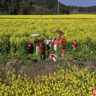 桂阳县：千亩油菜花海“上新” 春季“顶流”助力乡村振兴