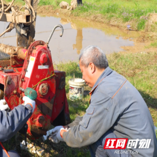 资兴市唐洞街道：人勤春早春耕备耕忙