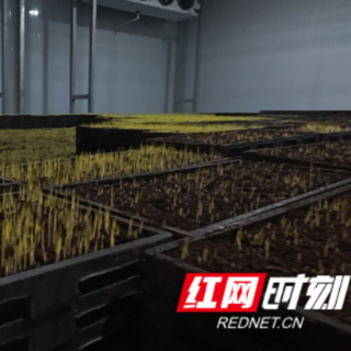 永兴县：智慧育秧备春耕 农机护航稳粮安