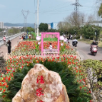 苏仙区潘家湾花海：郁金香盛放 城市提质添彩