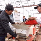 嘉禾县：机械化智能化“齐上阵” 跑出春耕育秧“加速度”