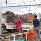 临武县：智能大棚育秧忙 科技赋能助春耕