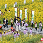 汝城县：文艺赋能谱新篇 春风执笔绘振兴