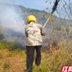 永兴县悦来镇：以演促防强本领 森林防火筑防线