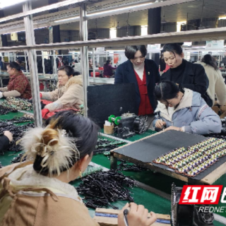 嘉禾县石桥镇:政企同心启新局