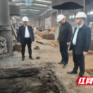 嘉禾县塘村镇:精准服务 护航企业复工复产