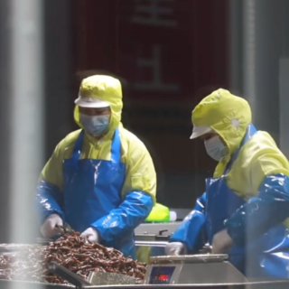 舜华鱼业:日销破百万 体验工厂成新流量密码