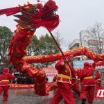 龙腾同心聚嘉禾 民俗欢歌启新程