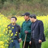 嘉禾农技下沉力保5.8万亩油菜稳产