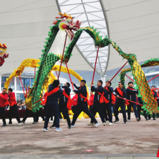 临武县:龙狮闹元宵 寻味中国年