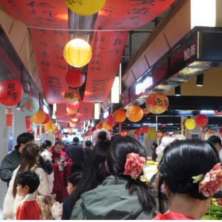 “智汇元宵·慧享生活”金科郡智慧菜市场元宵嘉年华活动举行