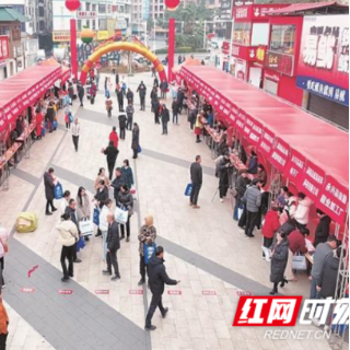 永兴县2026年大规模开展多姿多彩“春风行动”