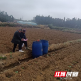 桂阳县樟市镇:田间地头话安全 筑牢野生蘑菇“防火墙”