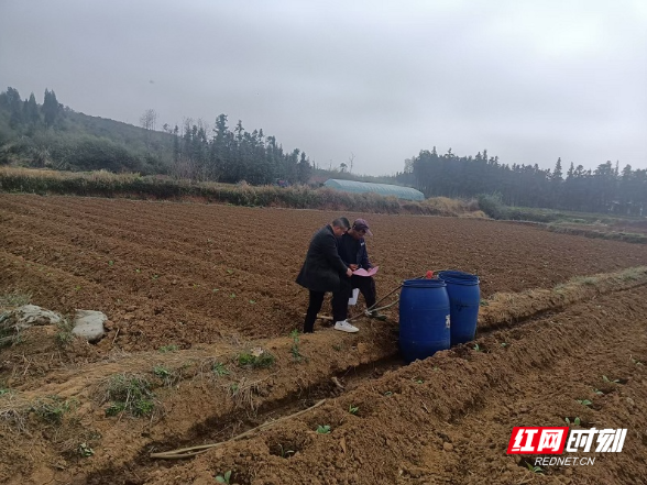 桂阳县樟市镇：田间地头话安全 筑牢野生蘑菇“防火墙”